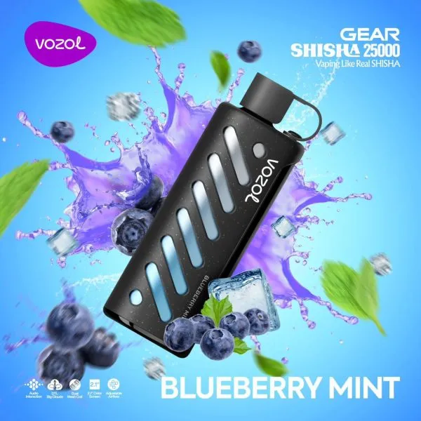 Vozol GEAR SHISHA 25000 Puffs Disposable Vape Cheap Sale at vapormo.com Vozol GEAR SHISHA 25000 Puffs Disposable Vape Cheap Sale at vapormo.com