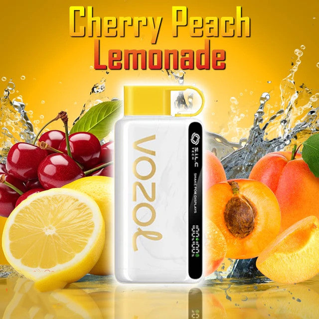 Vozol Star 12000 Rechargeable Disposable Kit (LED Display) Clearance | Vapormo.com vapormo.com Vozol Star 12000 Rechargeable Disposable Kit (LED Display) Clearance | Vapormo.com vapormo.com