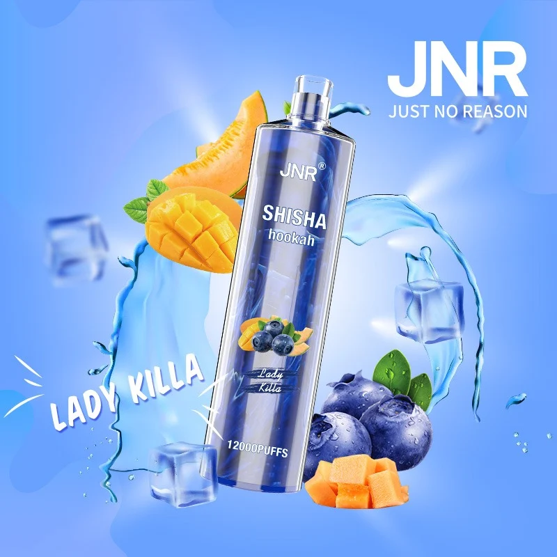 JNR Shisha Hookah 12000 Puffs DTL Rechargeable Disposable Vape Clearance | Vapormo.com vapormo.com JNR Shisha Hookah 12000 Puffs DTL Rechargeable Disposable Vape Clearance | Vapormo.com vapormo.com