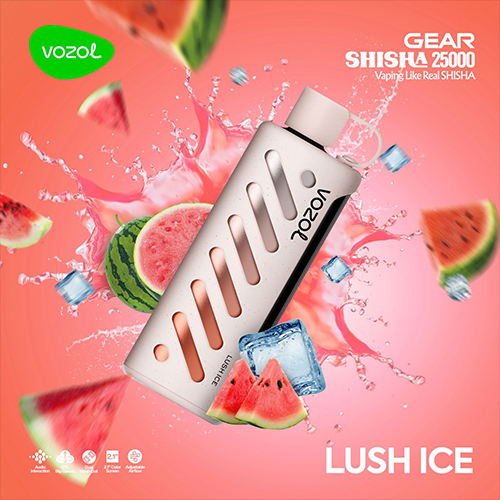 Vozol GEAR SHISHA 25000 Puffs Disposable Vape Cheap Sale at vapormo.com Vozol GEAR SHISHA 25000 Puffs Disposable Vape Cheap Sale at vapormo.com