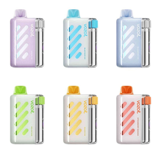 VOZOL Vista 40000 Puffs Rechargeable Disposable Kit 20ml (40K Puffs)