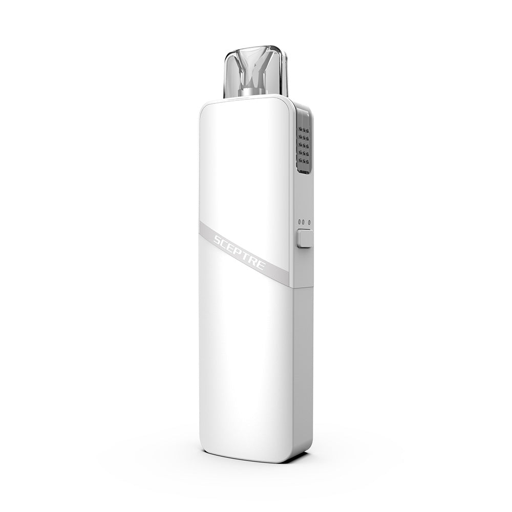 Innokin Sceptre Mod Pod Kit 1400mAh cheap online | vapormo.com Innokin Sceptre Mod Pod Kit 1400mAh cheap online | vapormo.com